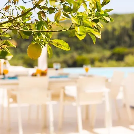 - Merkouri - Entire With Panoramic View Villa *