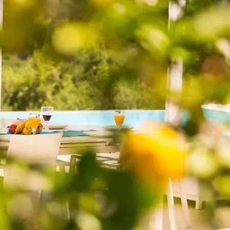 - Merkouri - Entire With Panoramic View Villa *